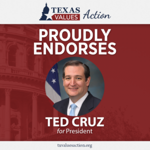 Ted Cruz Endorsement Graphic