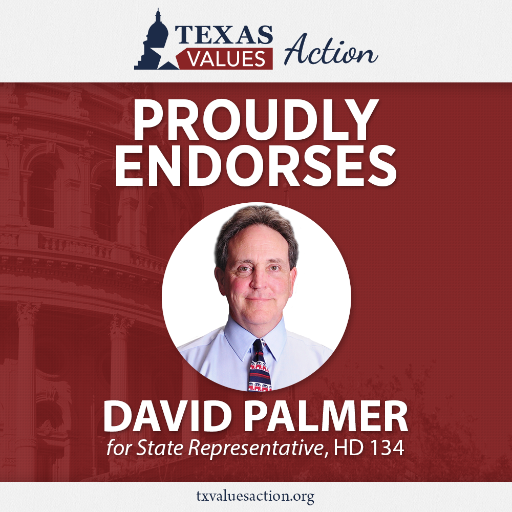 David Palmer endorsement graphic