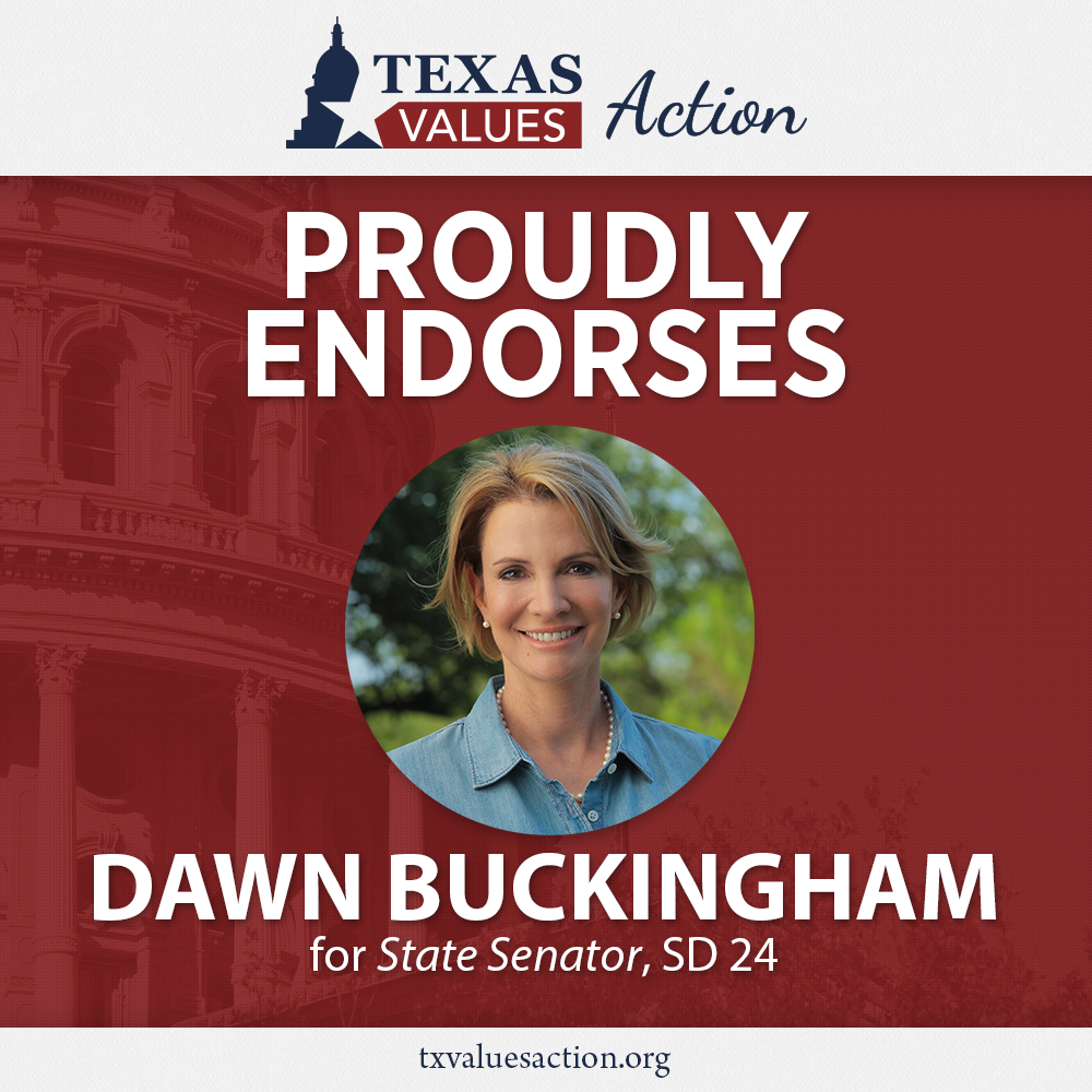 Dawn Buckingham endorsement graphic